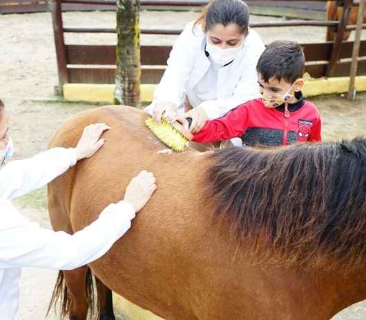 Acalento inicia campanha 