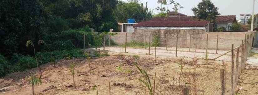 Prefeitura faz plantio de mudas em ponto viciado de descarte irregular no Massaguaçu