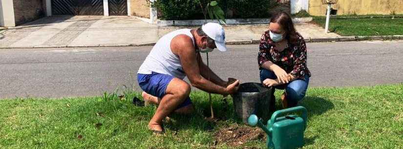 Dia da Árvore: Caraguatatuba já doou 650 mudas de plantas nativas neste ano