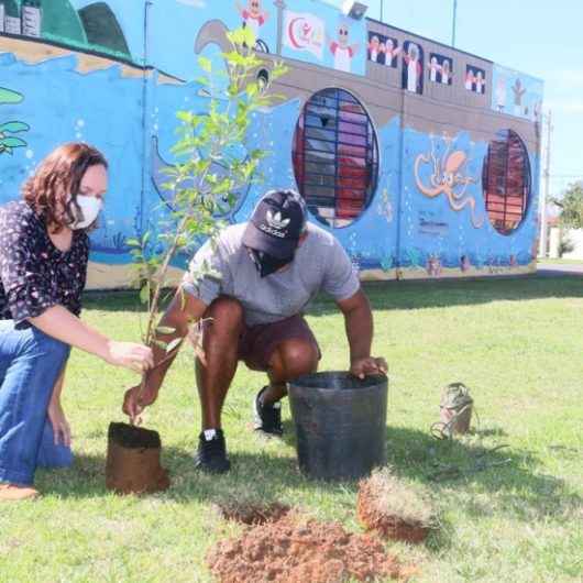 Praça no Porto Novo é beneficiada com 20 mudas de planta nativa