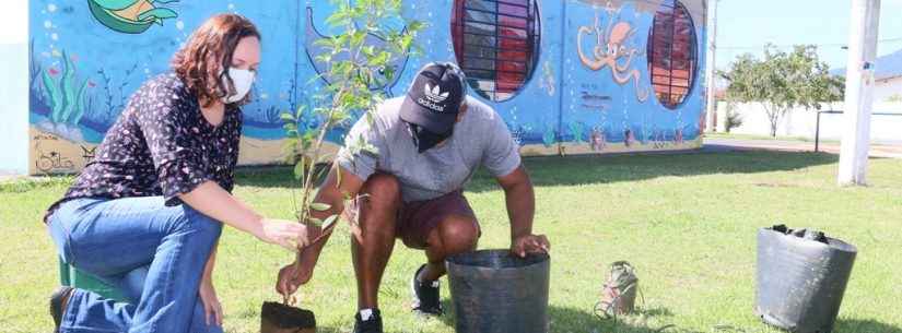Praça no Porto Novo é beneficiada com 20 mudas de planta nativa