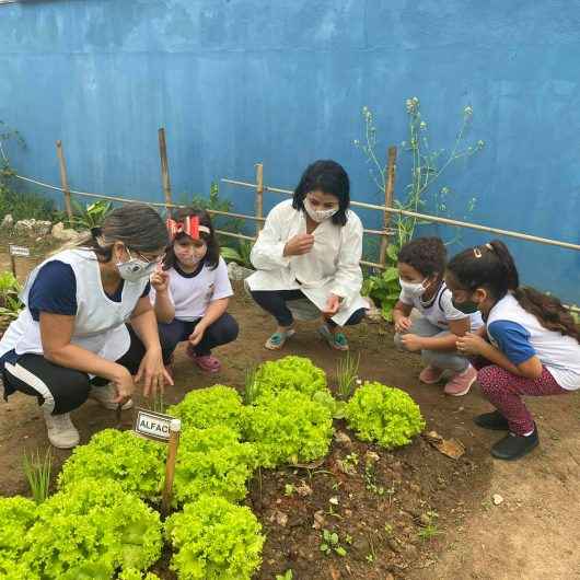 Projeto Horta Educativa já conta com mais de 30 unidades em Caraguatatuba