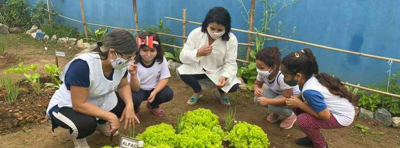 Projeto Horta Educativa já conta com mais de 30 unidades em Caraguatatuba