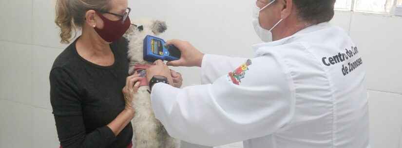 CCZ de Caraguatatuba abre 200 vagas para castração de cães e gatos nesta sexta-feira