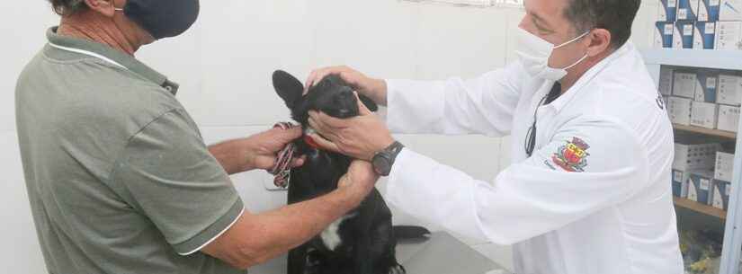 Mais de 70 animais não foram levados ao CCZ para avaliação com médico veterinário antes da castração