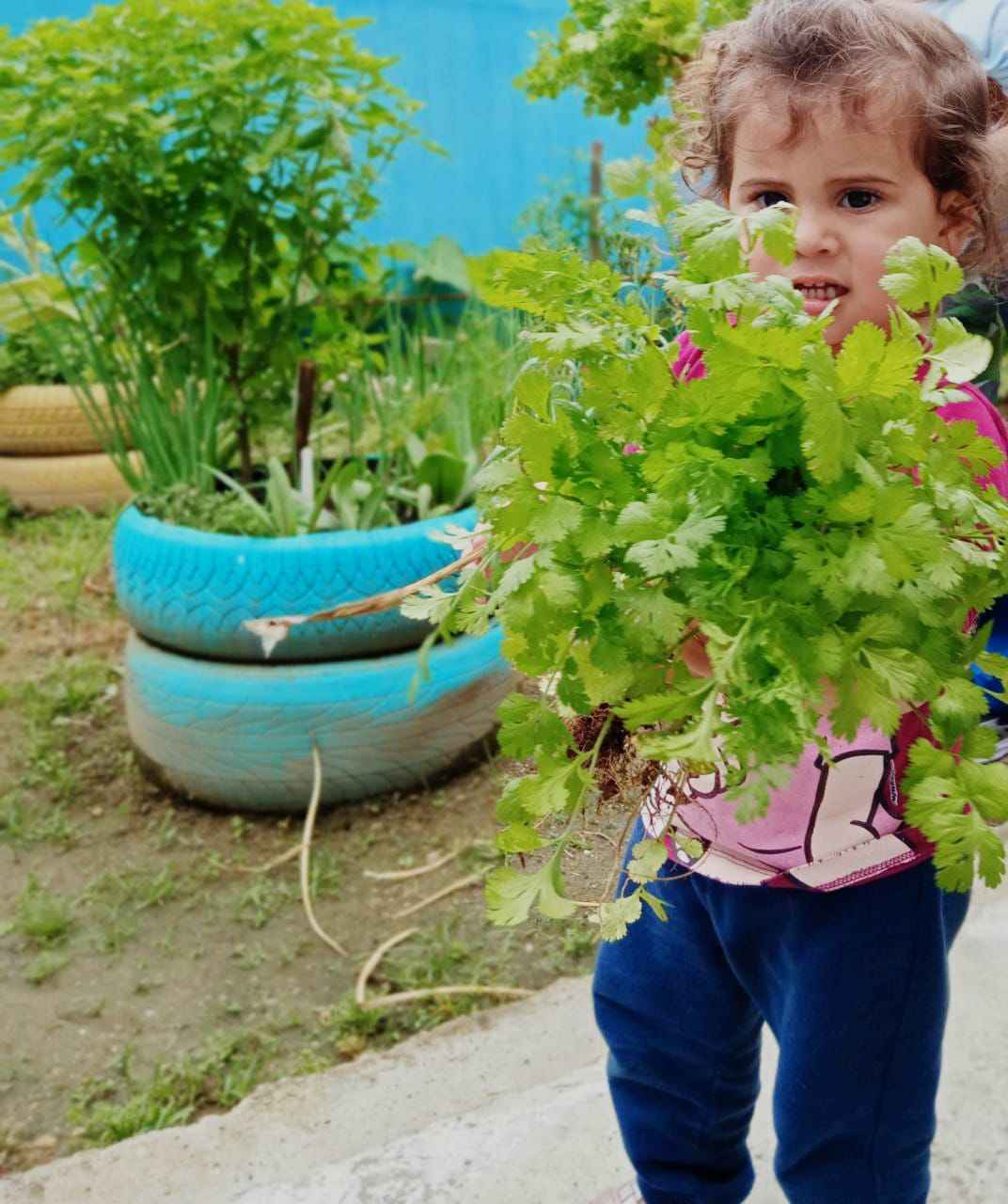 Projeto Horta Educativa já conta com mais de 30 unidades em Caraguatatuba