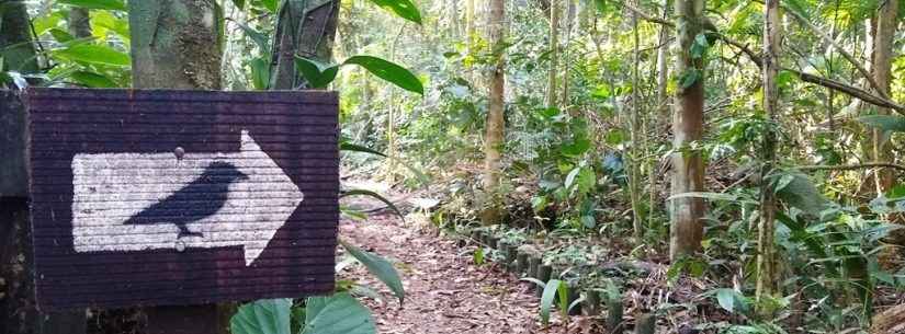 Parque Estadual da Serra do Mar promove trilhas, observação de aves e atividades infantis em Caraguatatuba