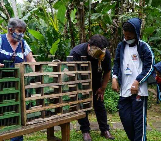 Estudantes de Caraguatatuba participam da soltura de aves reabilitadas