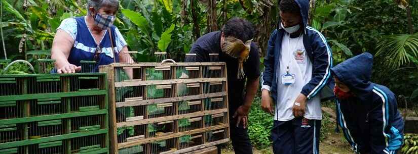 Estudantes de Caraguatatuba participam da soltura de aves reabilitadas