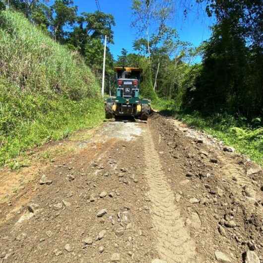 Estrada do Poço da Anta recebe nivelamento e limpeza