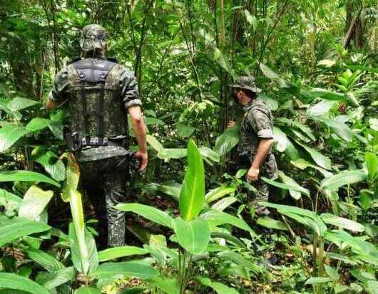 Atividade Delegada Ambiental aplica mais de R$ 7 mil em multa no mês de novembro