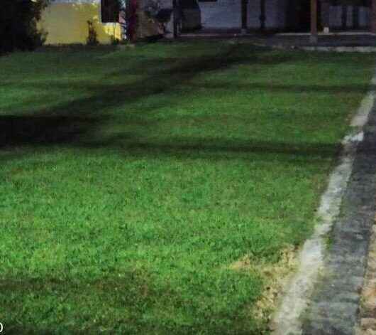 Prefeitura de Caraguatatuba flagra descarte irregular de poda e responsável pode ser multado em R$ 2,5 mil Prefeitura de Caraguatatuba flagra descarte irregular de poda e responsável pode ser multado em R$ 2,5 mil