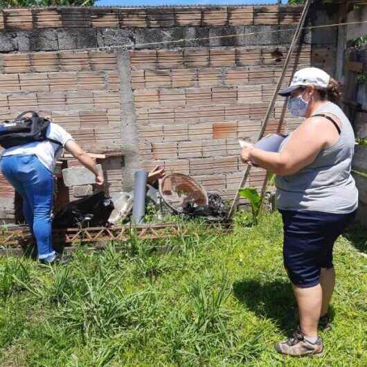 Caraguatatuba inicia primeira avaliação de densidade larvária do ano; resultado deve ser entregue até o final do mês