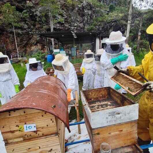 Prefeitura de Caraguatatuba e Senar oferecem curso de Apicultura para pequenos produtores rurais