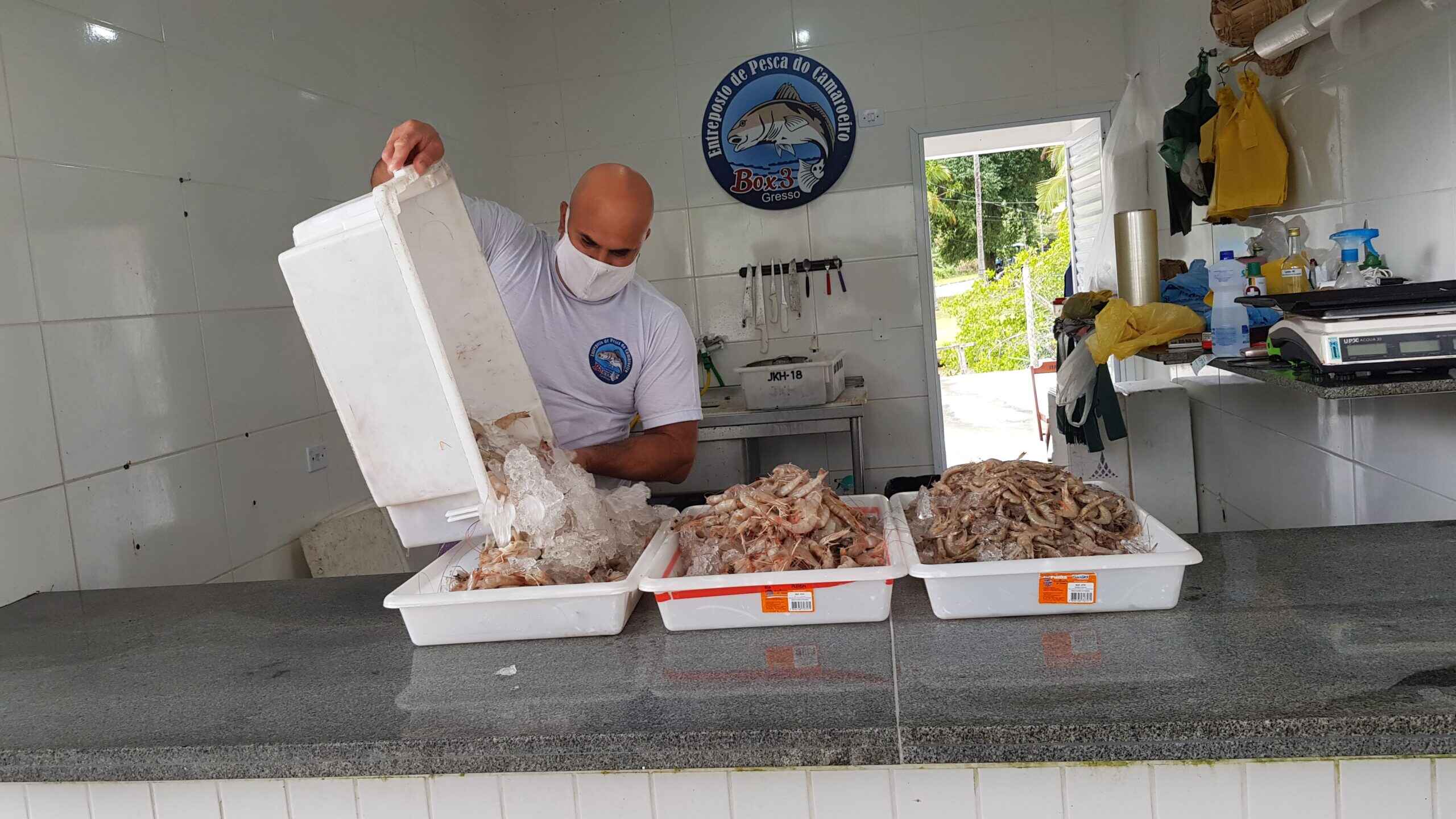 #PraCegoVer: Pescador manuseia camarões em vasilhas (Foto: Cláudio Gomes/PMC)