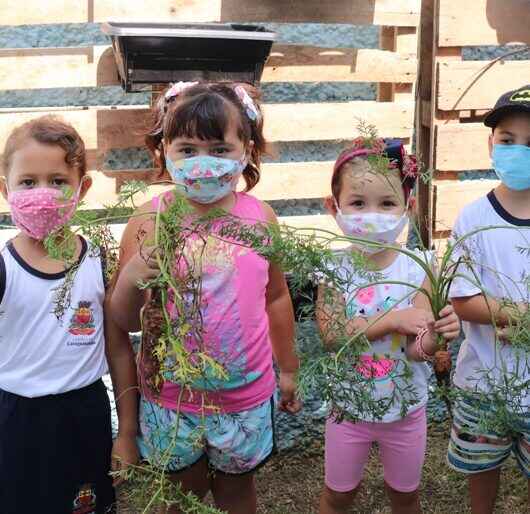 Projeto ‘Hortas Educativas realiza aula prática com colheita em Caraguatatuba