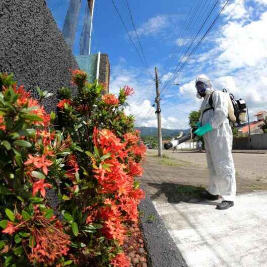 Jardim Primavera e Pegorelli recebem ações contra dengue nesta quarta-feira