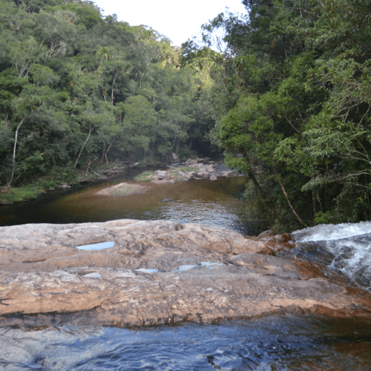 Sebrea vai ajudar empresários na capacitação e certificação de segurança do ecoturismo e turismo de aventura