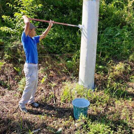 Prefeitura inicia pintura de guias e postes em estrada rural de Caraguatatuba