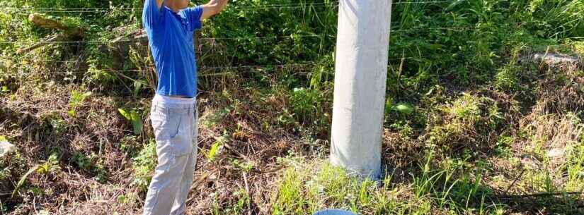 Prefeitura inicia pintura de guias e postes em estrada rural de Caraguatatuba