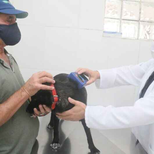 CCZ de Caraguatatuba abre agenda com cerca de 400 vagas para castração de cães e gatos