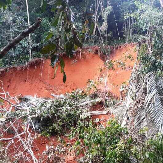 Fiscalização da Secretaria de Meio Ambiente aplica mais de R$ 9 mil em multas em dois meses