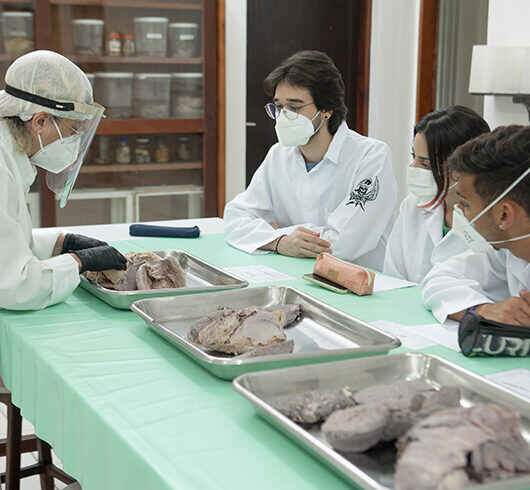 Unitau abre inscrições para Vestibular de Inverno do curso de Medicina em Caraguatatuba