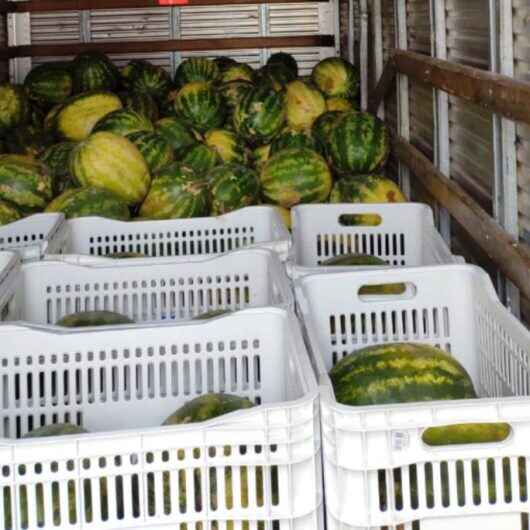 Banco de Alimentos de Caraguatatuba repassa mais de 500 kg de alimento em março