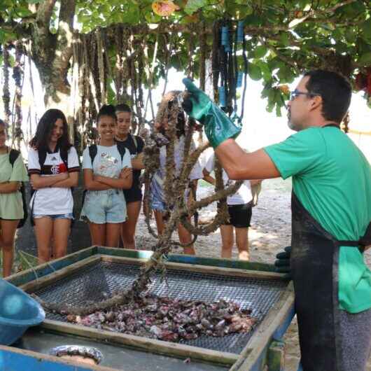 Alunos da rede municipal de Caraguatatuba participam de aula externa na praia da Cocanha