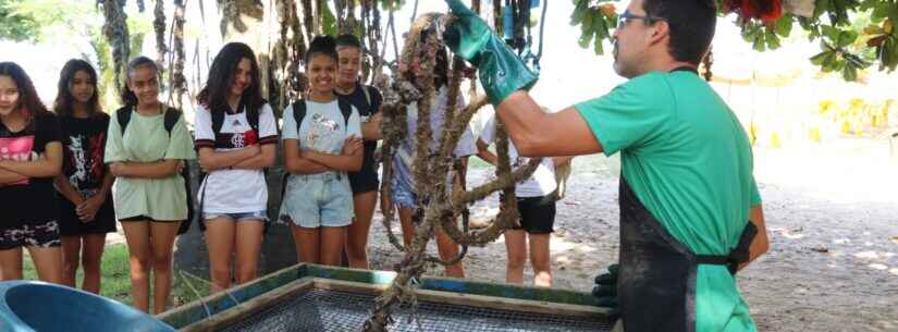 Alunos da rede municipal de Caraguatatuba participam de aula externa na praia da Cocanha