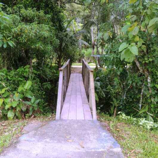 Prefeitura de Caraguatatuba reforma ponte de madeira no Alto Jetuba, região norte