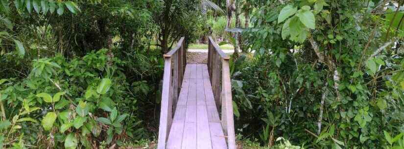 Prefeitura de Caraguatatuba reforma ponte de madeira no Alto Jetuba, região norte