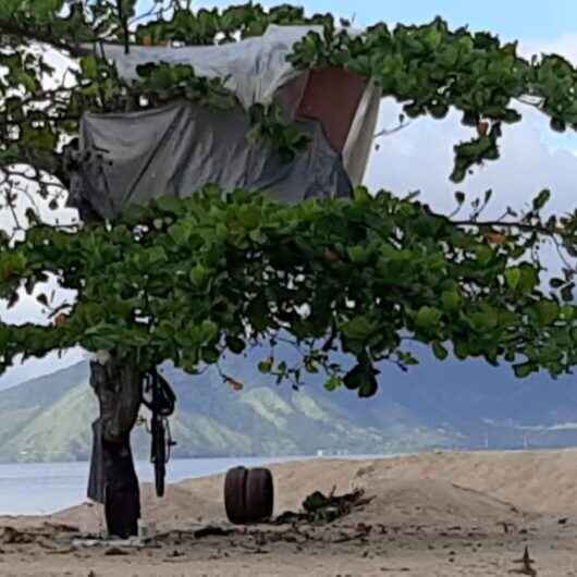 Prefeitura de Caraguatatuba desmonta ‘casa na árvore’ durante ação de fiscalização