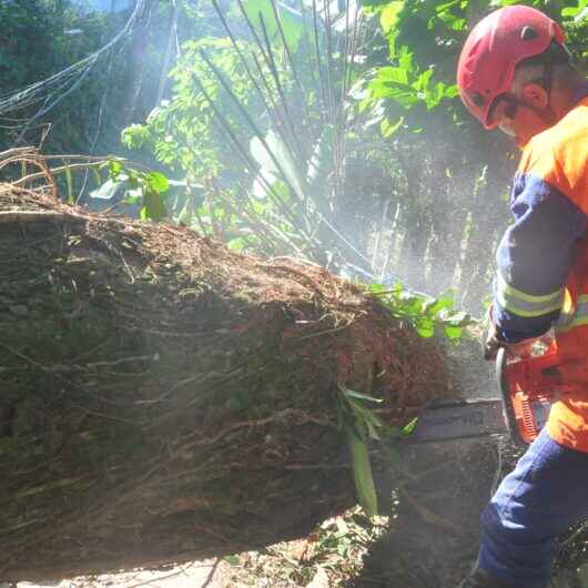 1Prefeitura de Caraguatatuba e Defesa Civil avaliam estragos provocados por vendaval na cidade