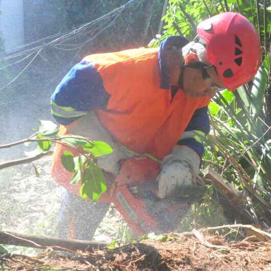 Equipes da Prefeitura de Caraguatatuba e Defesa Civil continuam com atendimento em aéreas atingidas por vendaval