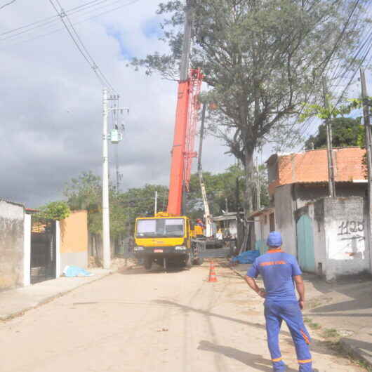 Prefeitura de Caraguatatuba realiza corte eucalipto no bairro Benfica