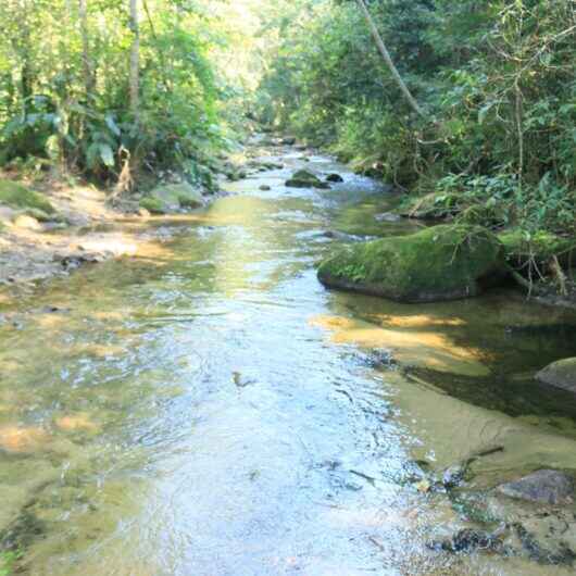 Parque Estadual Serra do Mar em Caraguatatuba promove atividades em alusão à Semana do Meio Ambiente