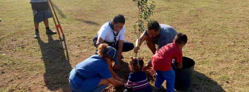 Secretaria de Meio Ambiente e Associação de Moradores promovem ação de plantio no Pontal Santamarina