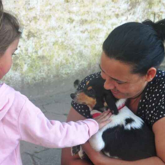capaNove animais recebem novos lares com Feira de Adoção de Cães e Gatos