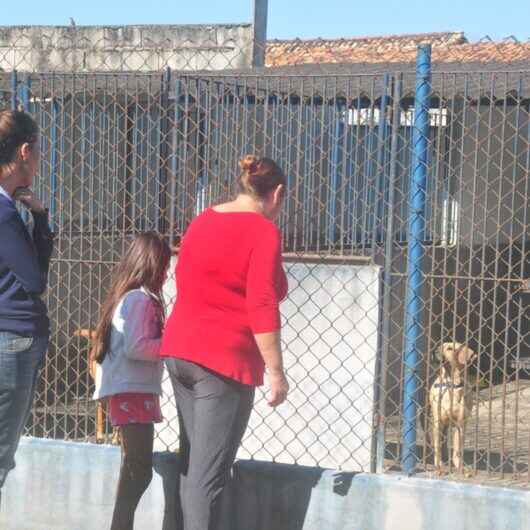 Caraguatatuba realiza Feira de Adoção de Cães e Gatos neste sábado