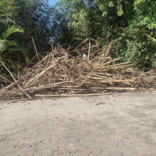 Em pouco mais de um mês, Prefeitura notifica 578 proprietários para limpeza de terrenos em Caraguatatuba