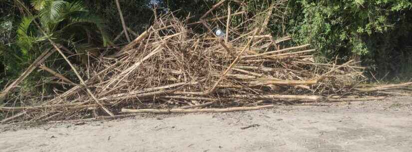 Em pouco mais de um mês, Prefeitura notifica 578 proprietários para limpeza de terrenos em Caraguatatuba