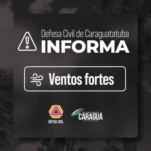 Defesa Civil alerta para chegada de ventos de até 60 km/h e frente fria