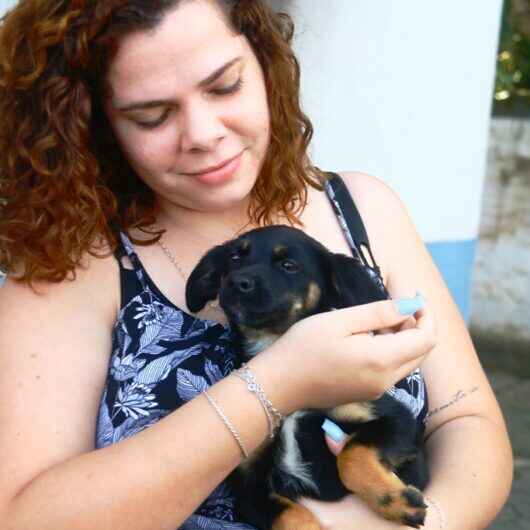 Feira de Adoção de Cães e Gatos proporciona novos lares para três animais