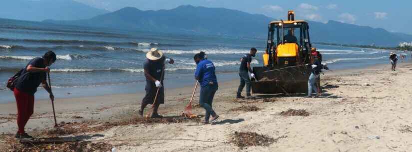 Prefeitura de Caraguatatuba convoca mais bolsistas do PEAD para atuar na limpeza pública