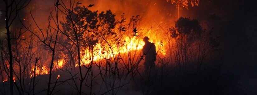 Prefeitura de Caraguatatuba registra 37 casos de queimadas no município e faz alerta contra incêndio criminoso