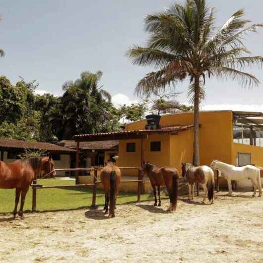 Acalento realiza Equobingo neste sábado (13)