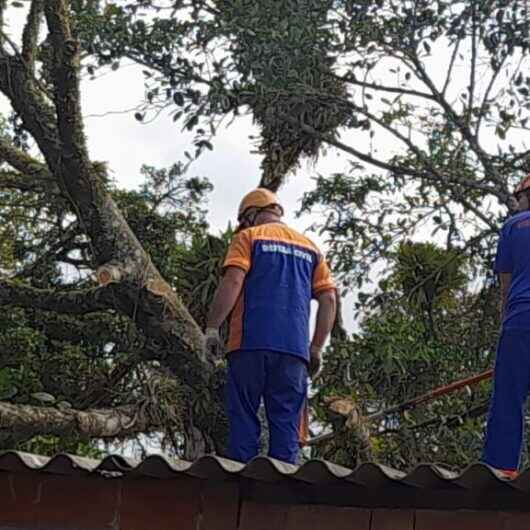 Atendimento da Defesa Civil de Caraguatatuba a demandas do Canal 156 mantém média no mês de agosto