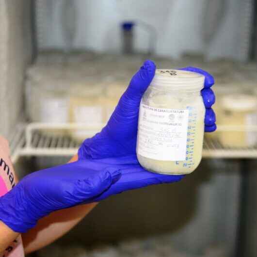 Caraguatatuba tem aumento de 70% nas doações de leite humano