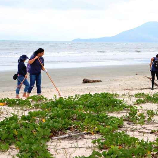Prefeitura de Caraguatatuba intensifica limpeza de praias com força-tarefa